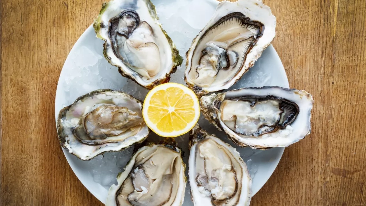 Origins of Fresh Oysters