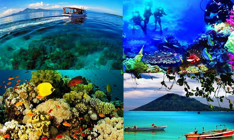 Pemandangan bawah laut yang memukau di Taman Laut Bunaken, dengan terumbu karang berwarna-warni dan berbagai jenis ikan tropis