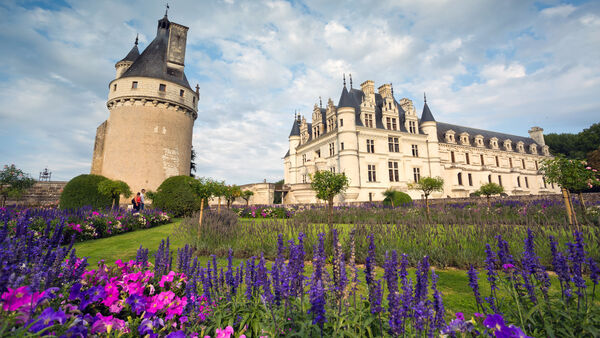 Delicious local dishes and wine from the Loire Valley's rich gastronomy