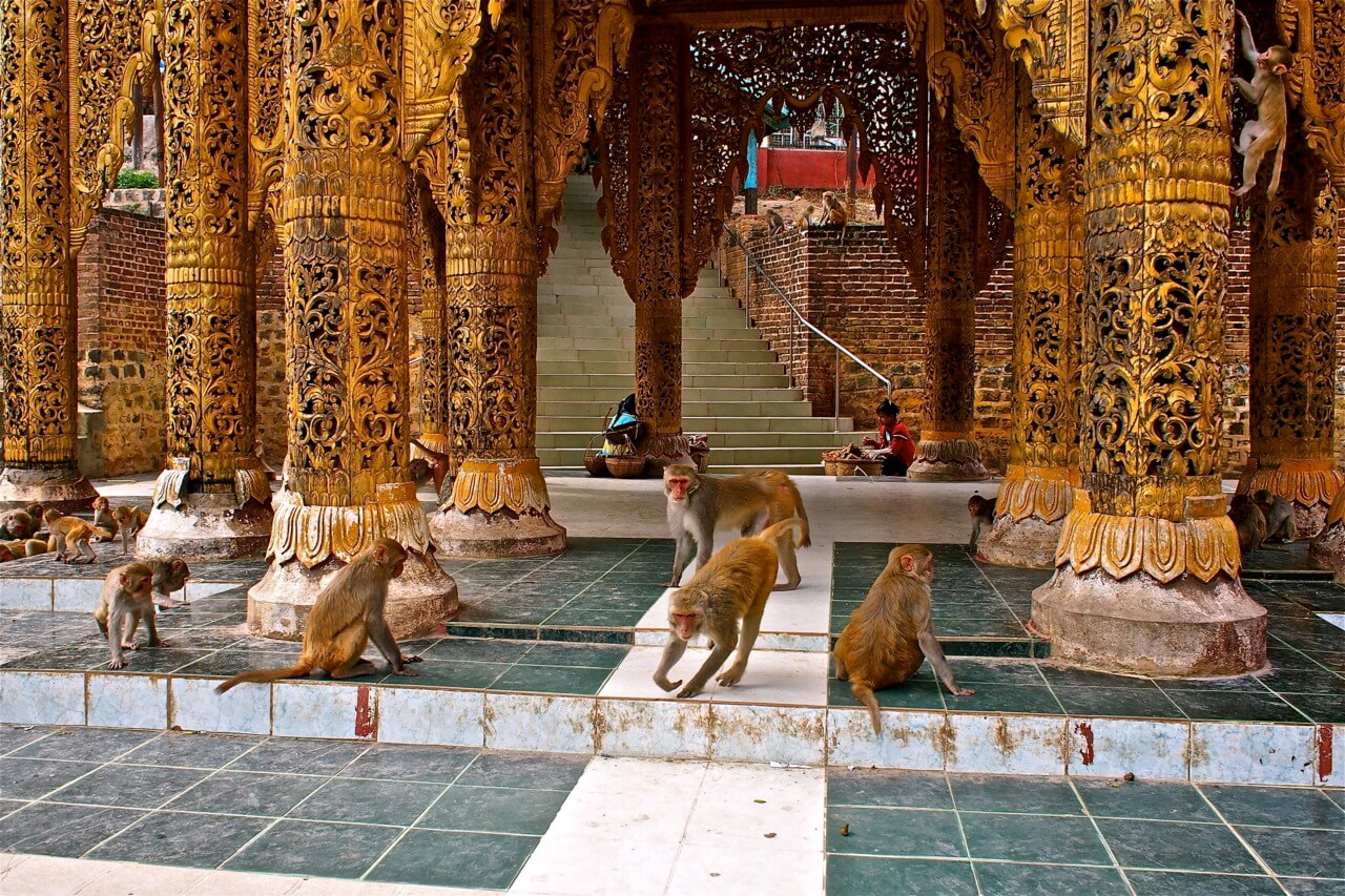 Pilgrims climbing the steps to Popa Taungkalat Monastery. 