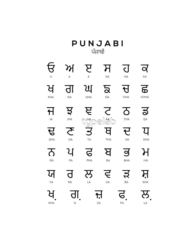 Punjabi literature book – A glimpse into the literary heritage of the Punjabi language. 