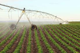 The Importance and Evolution of Irrigation Systems