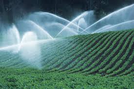 Irrigation Systems