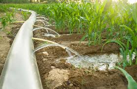 Irrigation Systems