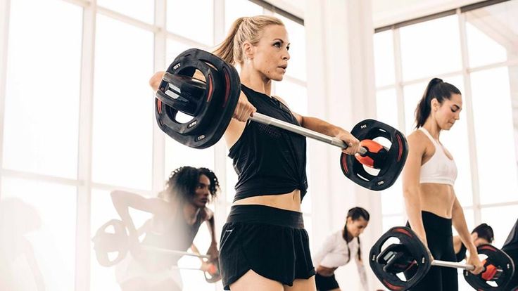 Jadwal Gym Pemula